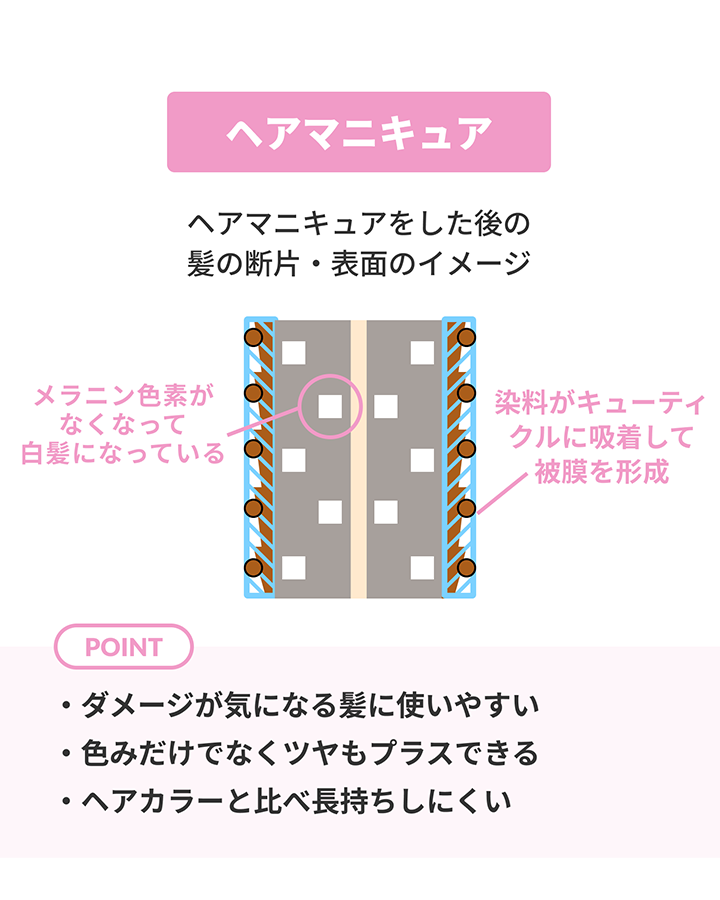 ヘアマニキュアの作用を示した毛髪の断面図