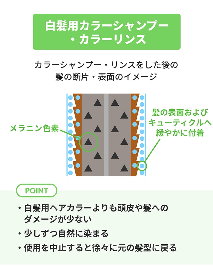 カラーシャンプーおよびカラーリンスの作用を示した毛髪の断面図