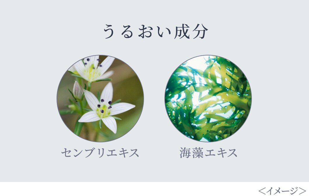 特長3